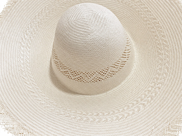 Japanese paper hat body | product photo