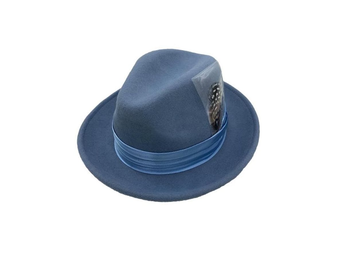Wool Feather Trim Trilby | product photo